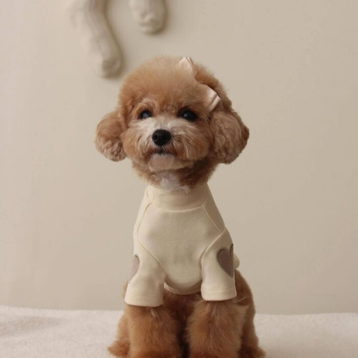 Cream Heart Pet Sweater